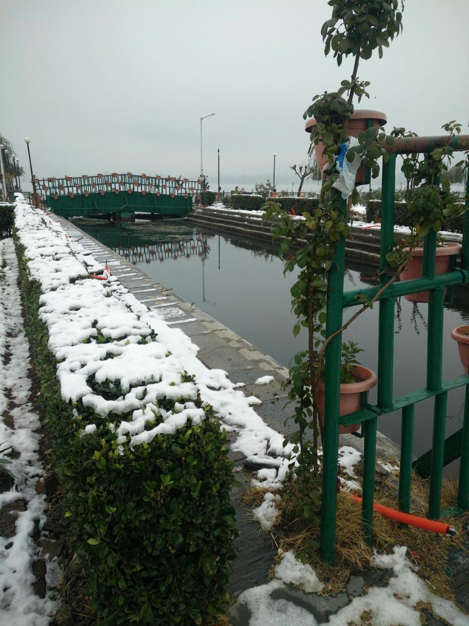 Houseboat Young Snow View Front Line Dal Lake Srīnagar Eksteriør billede